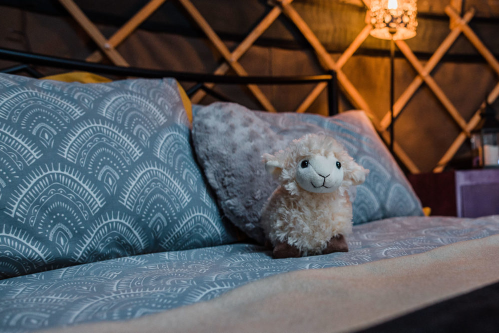 Accommodation: Kingsize beds inside the yurts with lighting and cuddly sheep