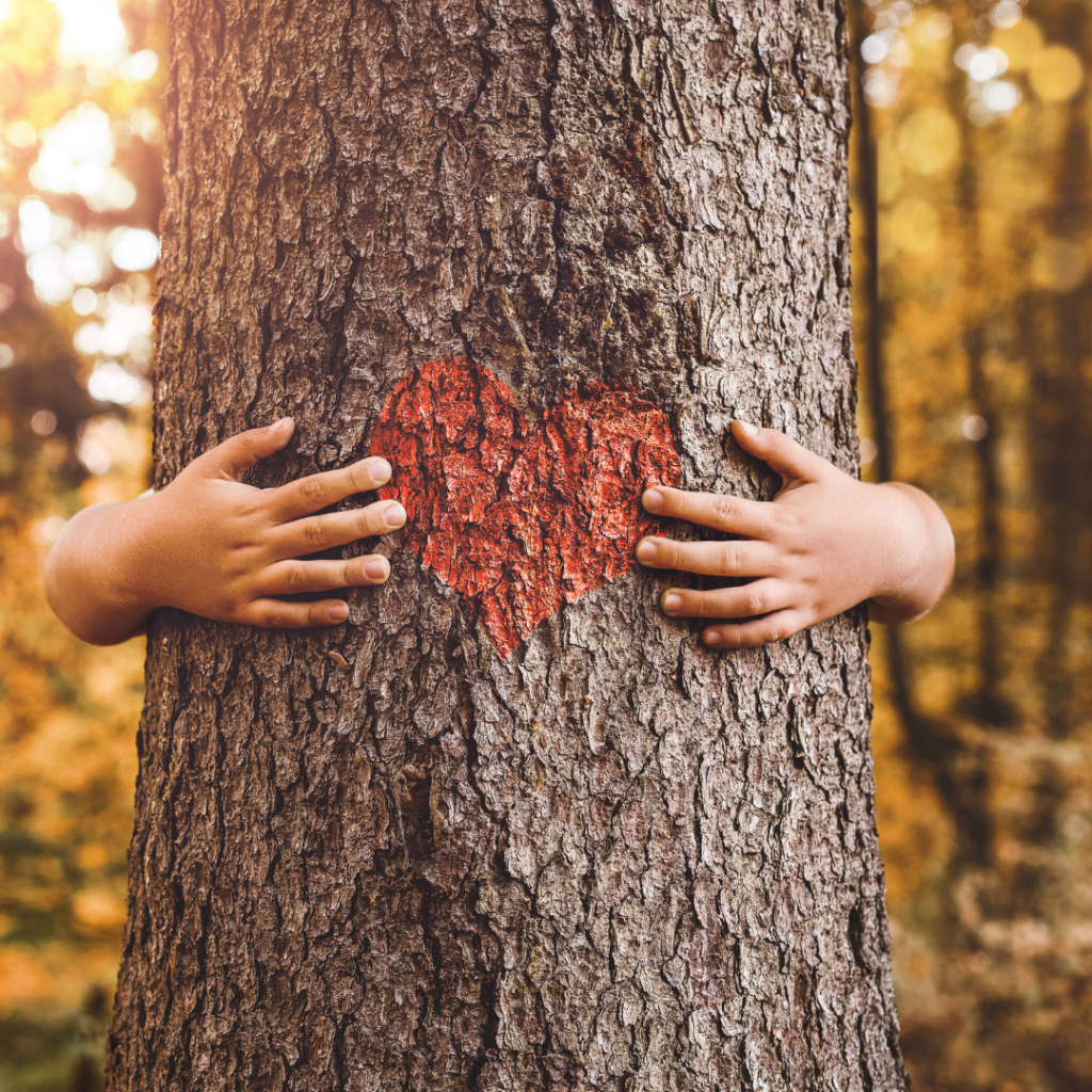 Child hugging a tree - connection with nature is a benefit of being outdoors