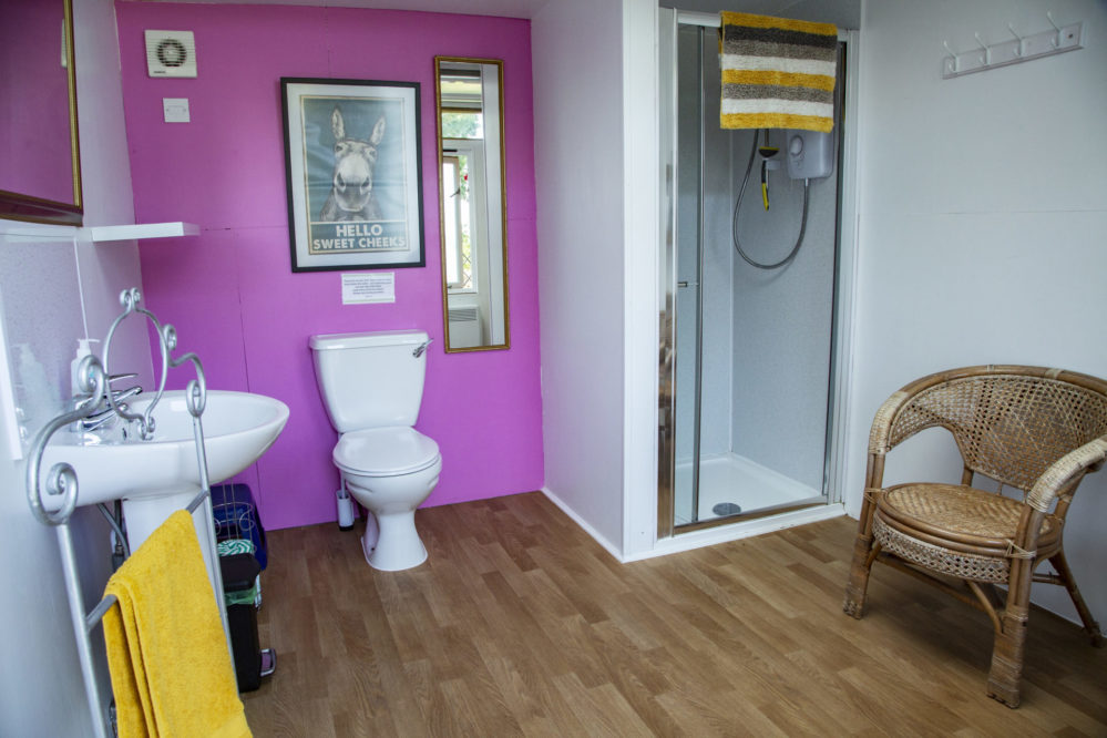 One of the yurts bathroom with pink wall, shower, toilet, sink and chair