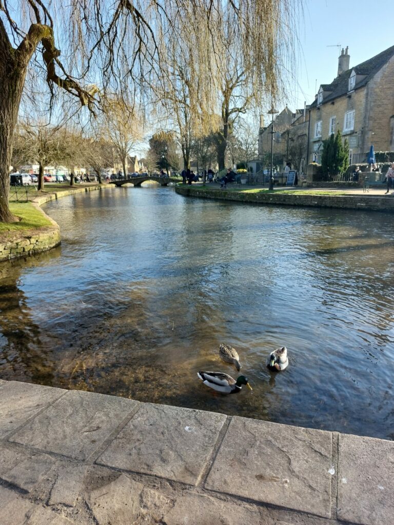 Places to swim near Chipping Campden - the river Windrush in Bourton on the Water