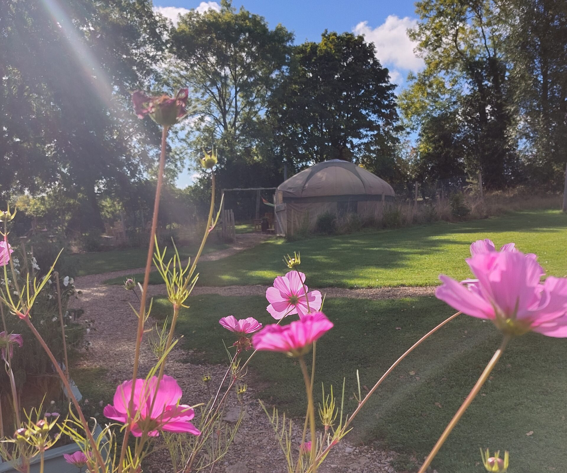 Prices for glamping flowers and yurt in background
